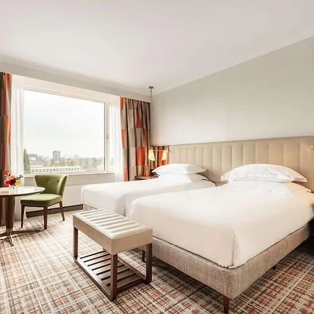 Hilton فندق