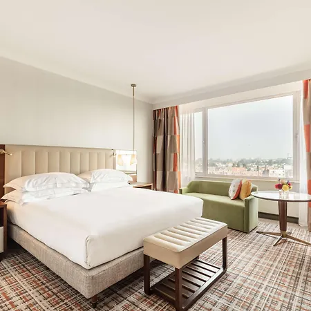 Hilton 호텔